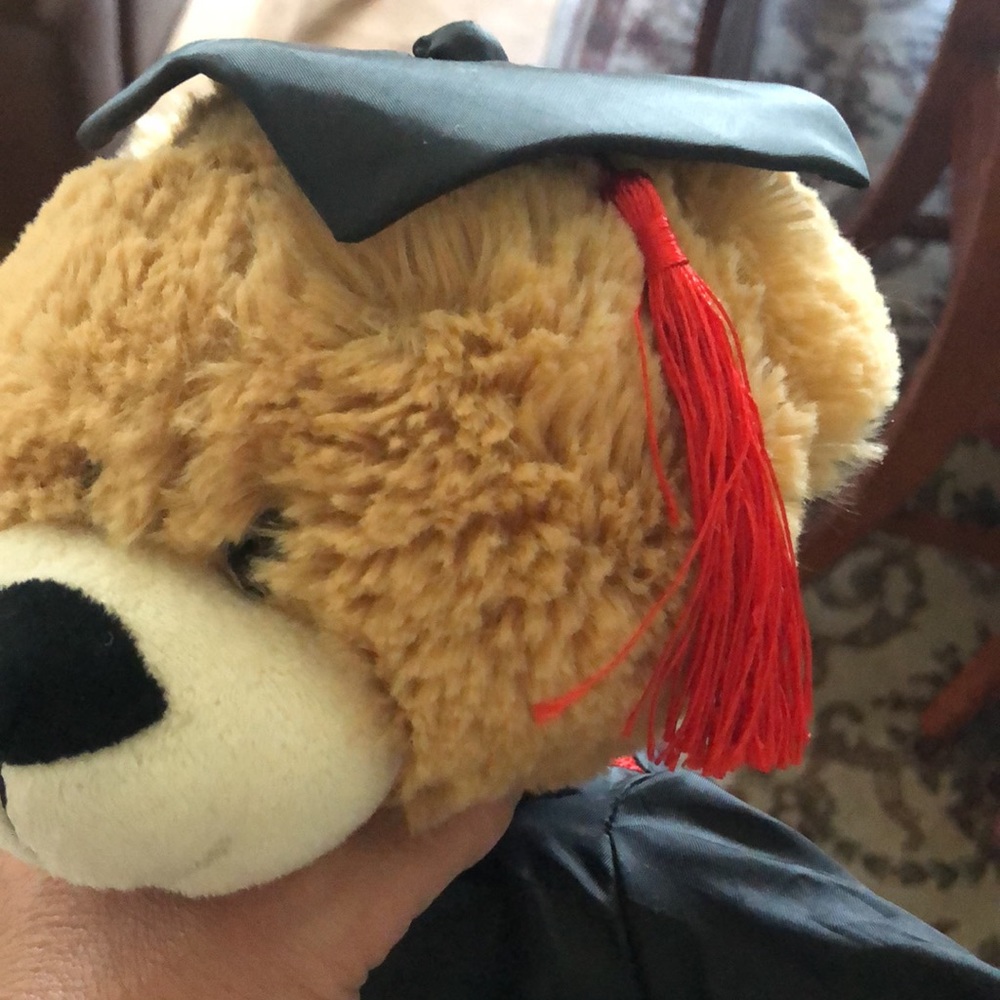 Graduation Bear! - Picture 10 of 10